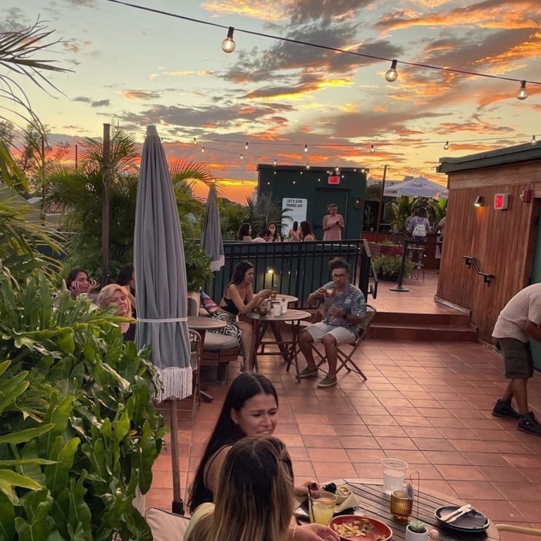 Terras — Little Havana
